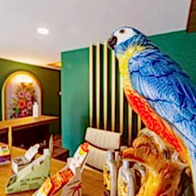 Refresh SPA & Turkish Bath in Alanya, Antalya • Customer Satisfaction is Our Priority