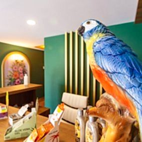 Refresh SPA & Turkish Bath in Alanya, Antalya • Customer Satisfaction is Our Priority